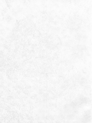 [嘶啪汉化AI] (COMIC1☆12) [エス書店 (さんい)] 青い花 (アイドルマスター シンデレラガールズ)_45