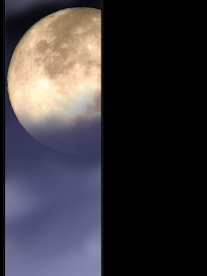 [かるきやカンパニー (かるきや)] 友母玩具 -母がアイツの玩具に堕ちるまで&nbsp;&nbsp;(オリジナル)&nbsp;&nbsp;分页版_0416