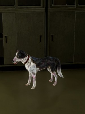 世界调制模式 1_00013