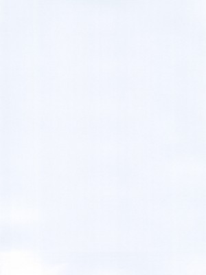 (C99) [黒猫館モンプチ (ヤミザワ)] ろーちゃんのサウナで大作戦 (艦隊これくしょん -艦これ-)_34