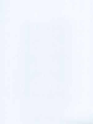 (C99) [黒猫館モンプチ (ヤミザワ)] ろーちゃんのサウナで大作戦 (艦隊これくしょん -艦これ-)_33