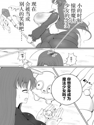 [サークルチェリー・ボーイ (えらい)] 魔法少女の子宮にある濃い魔法パワーを餌にして育つ触手の子 [中国翻訳]_04