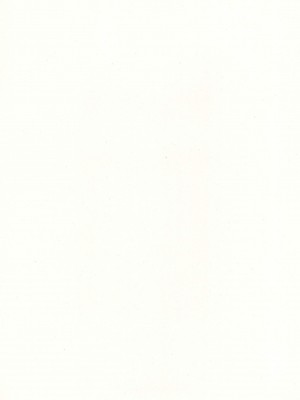 (C99) [かに家 (かにゃぴぃ)] ちびさきゅシコらいふ_33