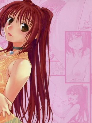 [漢化好沒] (C79) [やまぐちぷりんと (珠樹やよい)] CS RADICAL (トゥハート2)_01