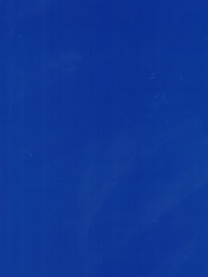 [有毒気漢化組] (サンクリ2018 Spring) [やまぐちぷりんと (珠樹やよい)] ジャンヌお姉ちゃんをママにする本 (Fate╱Grand Order)_16