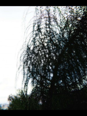 [3D]我是你爸系列07-08 終章_023