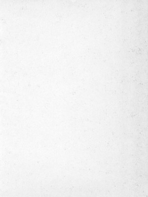 [照 楠人 ,うめつ ゆきのり] 囚われのアイドル・渡瀬まみ_innlong162