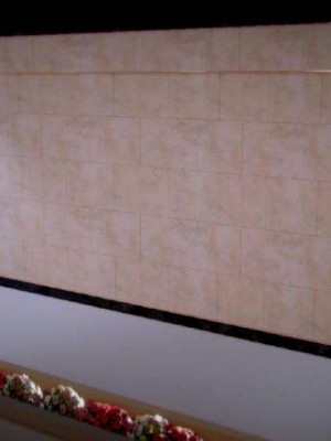 叶枫传2-学园霸王录_00075