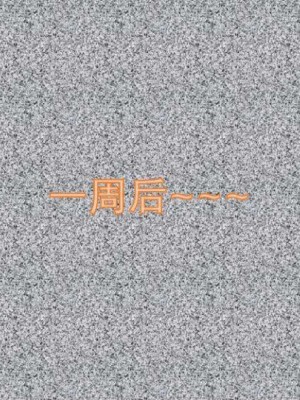 叶枫传2-学园霸王录_00251