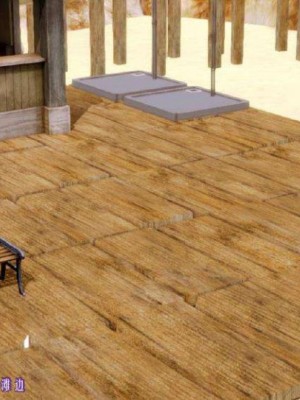 叶枫传2-学园霸王录_00385