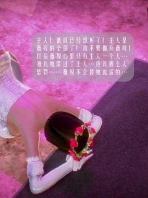 叶枫传2-学园霸王录_00404