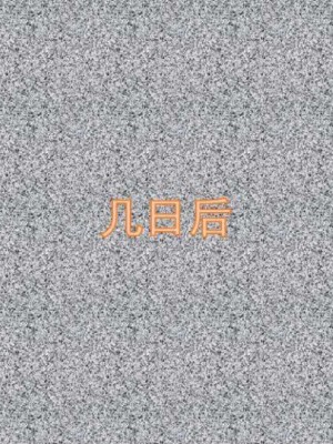 叶枫传2-学园霸王录_00461