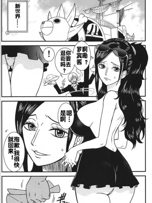 (C94) [RED FARMER (赤シャツ生産者)] ROBIN'S HOLE (ワンピース) [流木个人汉化]_02