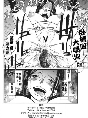 (C94) [RED FARMER (赤シャツ生産者)] ROBIN'S HOLE (ワンピース) [流木个人汉化]_25