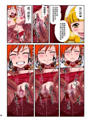 [不咕鸟汉化组] [重力式擁壁 (ダム)] Shock触ごブリギュア (スマイルプリキュア!) [DL版]_030