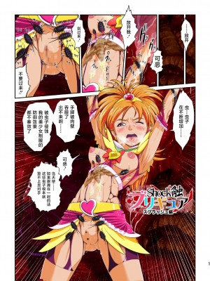 [不咕鸟汉化组] [重力式擁壁 (ダム)] Shock触ブリギュア (プリキュア) [DL版]_49