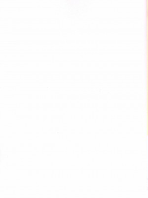 [后悔的神官个人汉化] (C83) [Verydrop (サファイア)] ゆきかぜの使い魔 2 (ゼロの使い魔)_02