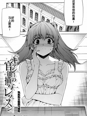 [空気系★汉化] (C80) [CDPA (よろず)] CROSS MAKE 2011 SUMMER (フリージング) [無修正]_030