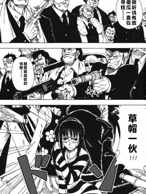 (C80) [三毛猫堂 (武天)] 悪魔の実の使い方 (ワンピース) [流木个人汉化]_03
