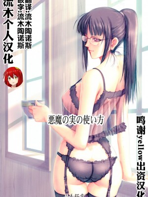 (C80) [三毛猫堂 (武天)] 悪魔の実の使い方 (ワンピース) [流木个人汉化]_02