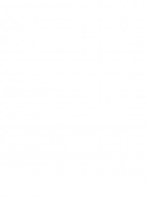 [ダル・ゾデサデハーイ (ダル)] レッサーパンダのエッチな本 (けものフレンズ) [DL版]_11