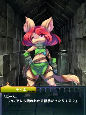 [当方丸宝堂] 【メスケモ異種姦特化CG集】パピーミルの冒険者たち【妊娠・出産アリ】_001_@OP@_D_0007