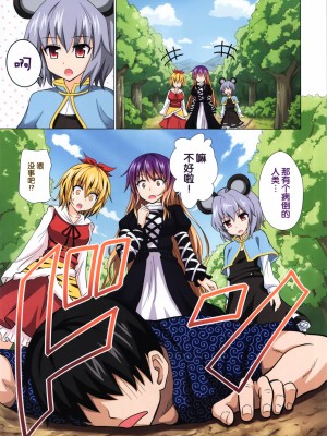 [かみか堂 (銀曜ハル)] 幻想郷楽園化計画 1-20【个人整理版】_258