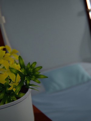 [3D][ses21] 我是你爸 合集_0150