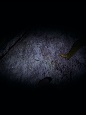 [3D]血玫瑰之我的杀手美母1-7(完)_00538