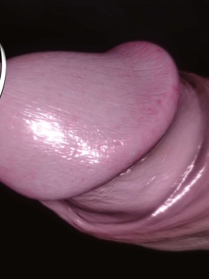 [3D]秘密11-20_02294