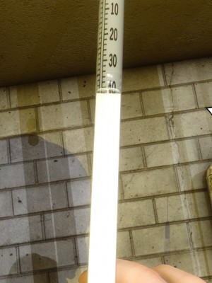 [3D]秘密21-30_02989