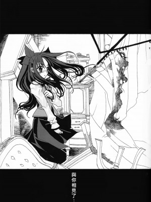 (C71) [Girls...Now (江戸屋ぽち)] RED ZONE (Fate_stay night)_27