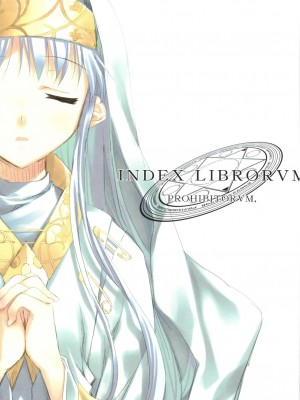 [L.S.同漫汉化组] (C75) [Traumatize (籠目)] INDEX LIBRORVM PROHIBITORVM (とある魔術の禁書目錄)_02