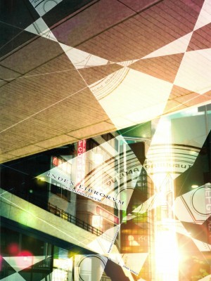 [L.S.同漫汉化组] (C75) [Traumatize (籠目)] INDEX LIBRORVM PROHIBITORVM (とある魔術の禁書目錄)_18