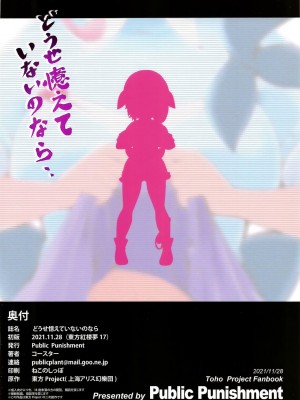 (紅楼夢17) [Public Punishment (コースター)] どうせ憶えていないのなら (東方Project) [村口喇叭个人汉化]_30