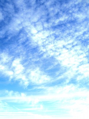 [デンジャラス・ラビット] 生徒会の性処理担当になりました!～美少女ハーレムで今日も頑張ります！？～_315_CG1_083