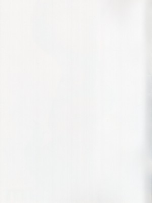 (C96) [わさんぼん (wa)] WASANBON vol.14 (艦隊これくしょん -艦これ-)_02