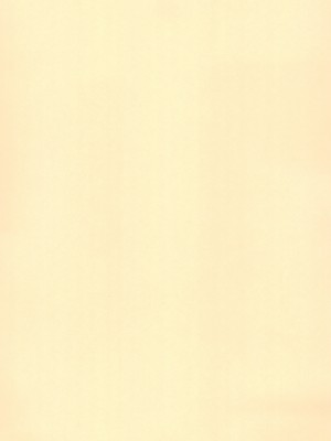 [想見茶屋 (ねもくげ)] さも孕に (サモンナイト) [中国翻訳]_03