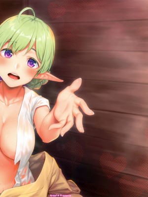 [エリア14 (かせい)] エルフリフレ [中国翻訳]_02