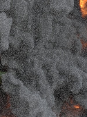 女奥败北受难记_23