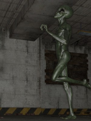 女奥败北受难记_25