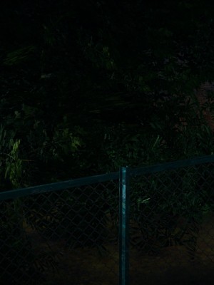 [3D]堕落蔷薇 第三季 01-03_0063