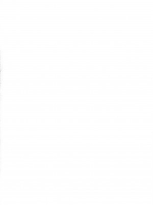 (C97) [鑑賞用モルモット (Mr.Lostman)] ろしゅつのススメ (Fate╱Grand Order) [中国翻訳]_03