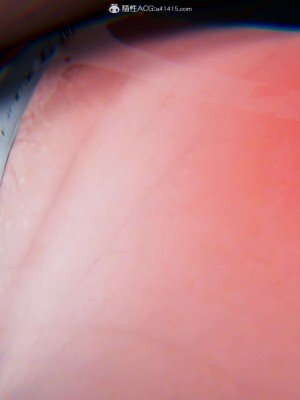 [3D]逆转之路第二季01-10_00405