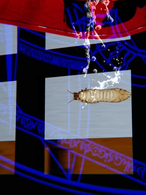 [3D]逆转之路第二季01-10_02279