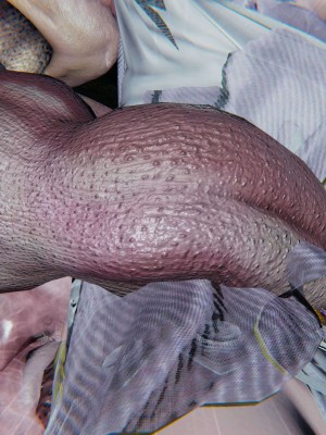 [3D]逆转之路第二季01-10_03241