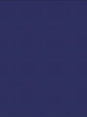 [はせ☆裕] 悪魔娘監禁日誌シリーズ[中国翻訳]_09