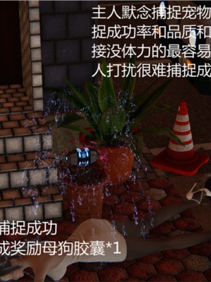 宠物捕捉大师1-16_01-032