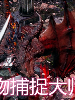 宠物捕捉大师1-16_07-001