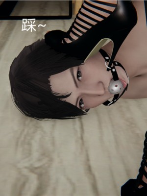 宠物捕捉大师1-16_04-023